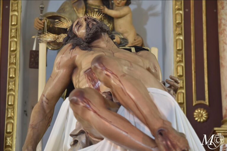 v (4)